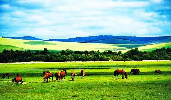 内蒙古科技盛宴,草原崛起的高科技风采