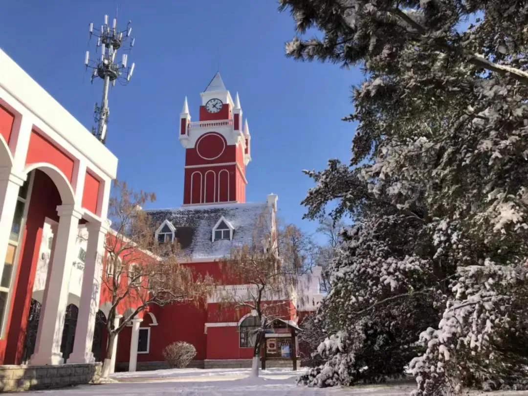 沈阳探秘，小巷独特风味之旅
