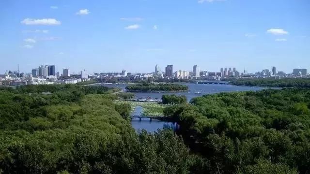 长春，历史底蕴与现代风貌的完美交融