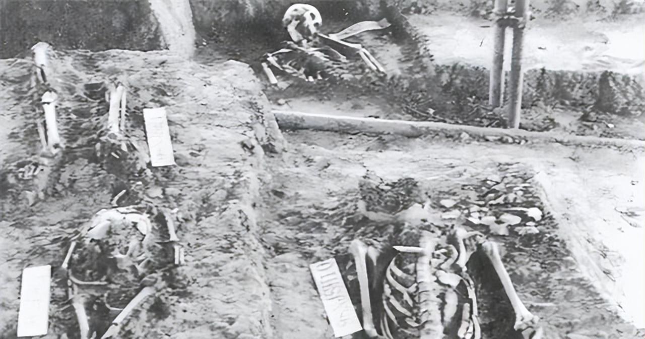 抚顺，东北古城的历史回声与岁月温柔